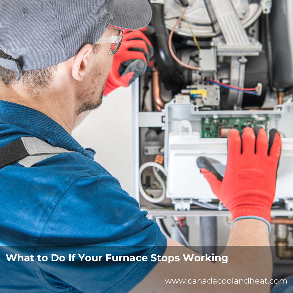 What to Do If Your Furnace Stops Working