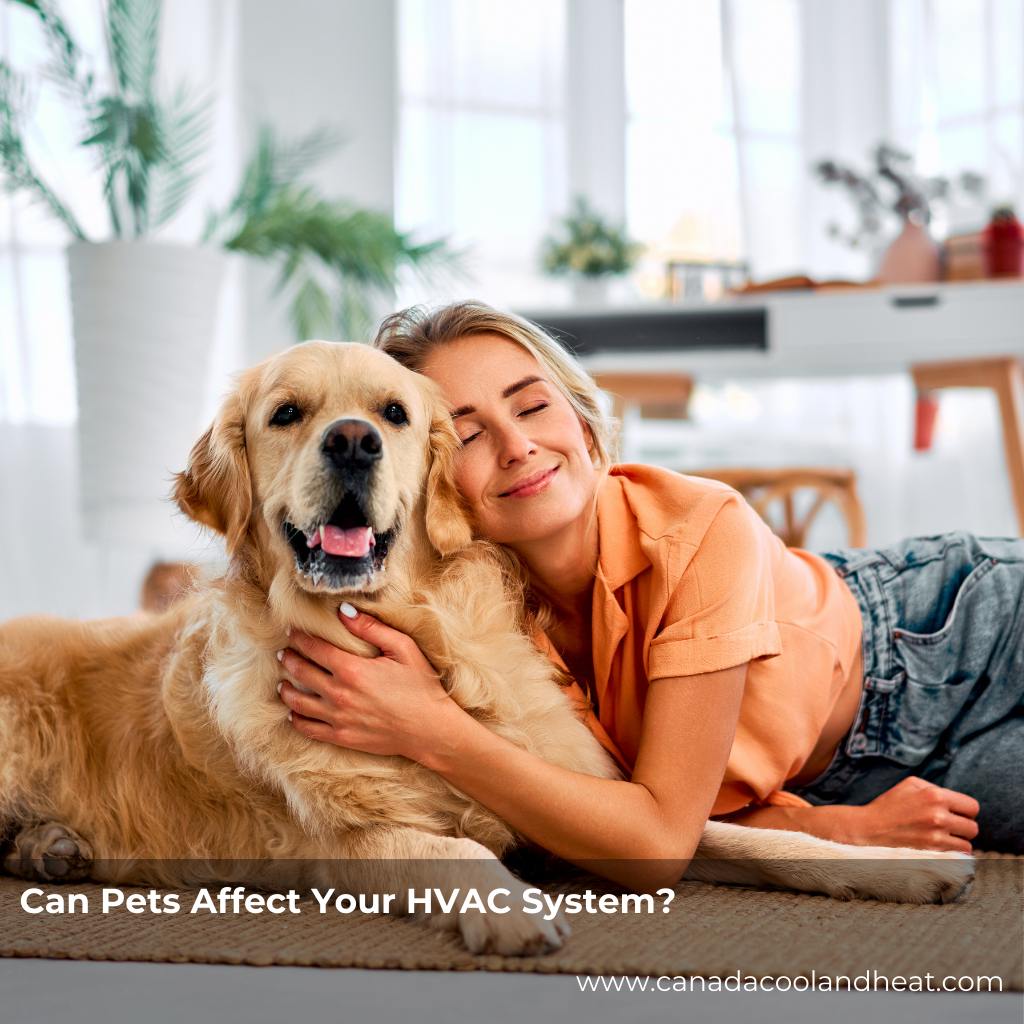 Can Pets Affect Your HVAC System?