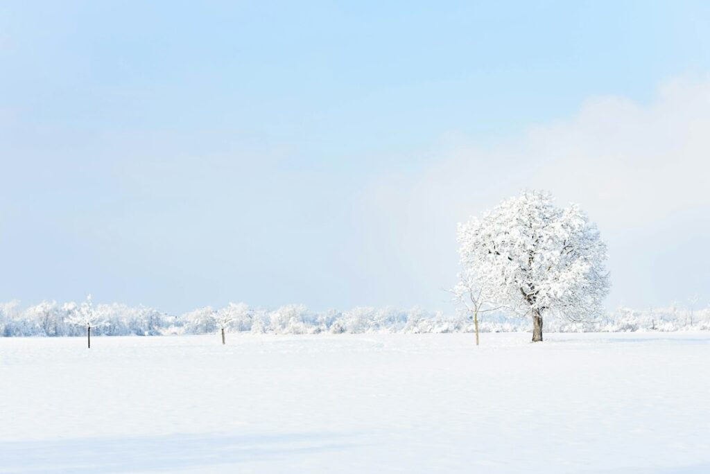 Are Portable Heat Pumps Effective in Canadian Winters?