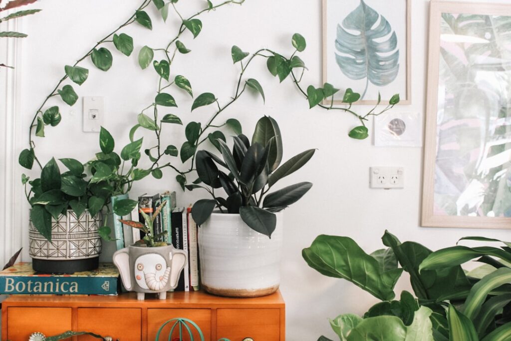 Best Plants for Improving Indoor Air Quality with HVAC