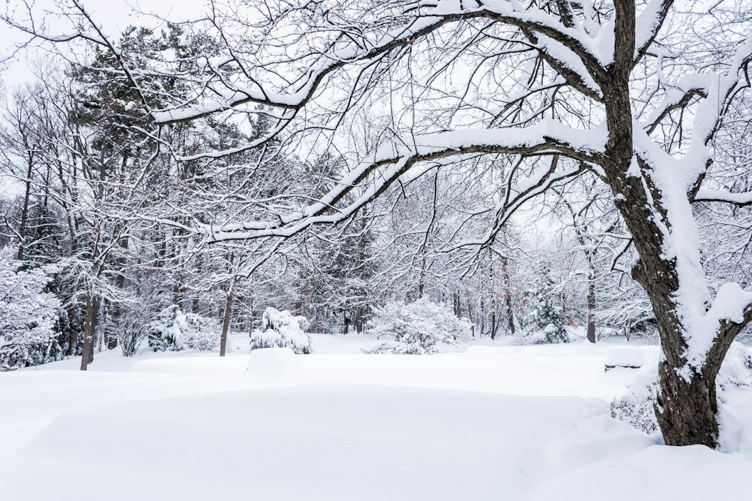 How Heat Pumps Perform in Extreme Canadian Winters