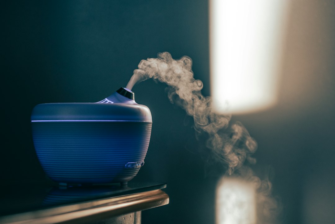 How Humidifiers Impact Home Heating Efficiency