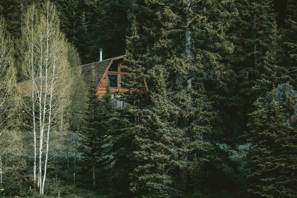 How to Choose the Right HVAC System for a Cottage or Cabin